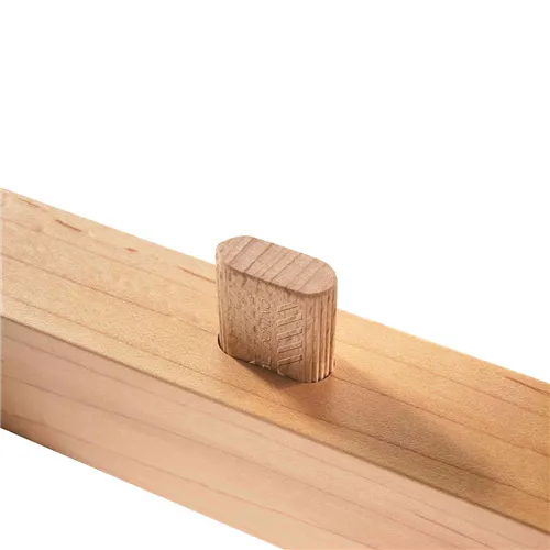 Festool Kolíky bukové DOMINO D 12x100/100 BU