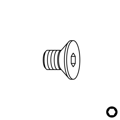 Šroub TSPEI - M3x4x6 D6 IGM