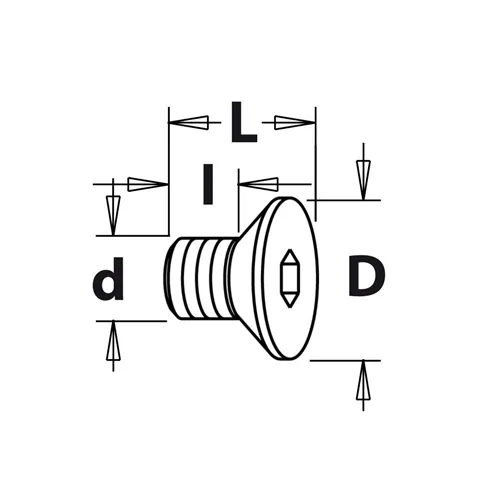 Šroub TSPEI - M3x4x6 D6 IGM