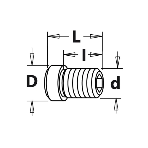 Šroub TCEI Guide - M5x6x9 D6 IGM