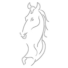 CMT Šablona na ornamenty na dvířka KŮŇ 445x203mm