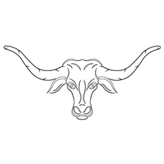 CMT Šablona na ornamenty na dvířka LONGHORN 419x194mm